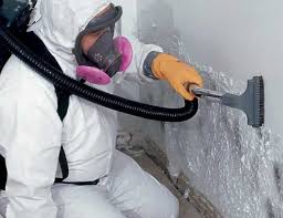 Trusted Oak Ridge, FL Mold Removal Services Experts